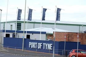 Campaigners against a No-Deal Brexit will gather outside the Port of Tyne for a demonstration.