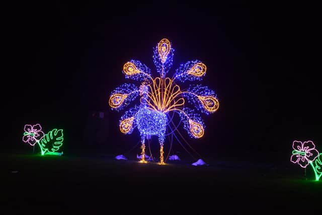 One of the many displays at this year's Festival of Light preview night at Roker Park.