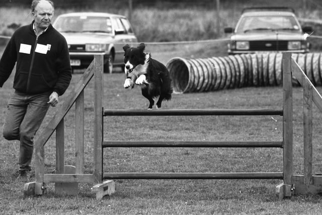 The Boundary Residents Community Association dog training day at Shiney Row in 1986.