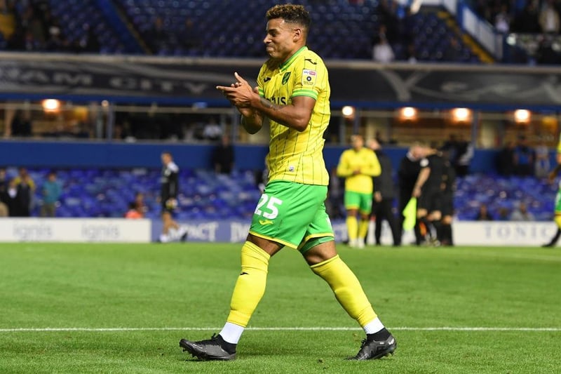 Following loan spells at Middlesbrough and Birmingham last season, the 30-year-old has looked set to leave Norwich permanently in the past. Hernandez has made 33 league appearances for The Canaries this season, though.