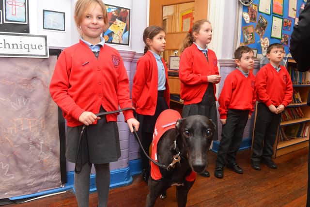 Children at New Seaham Academy taking Charlie for a walk.