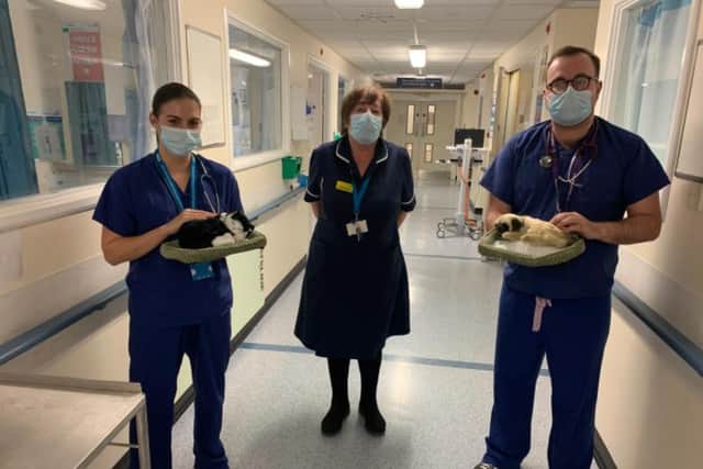 Dr Holly Gillott, Deputy Ward Manager Angie Cooper and Dr Dominic Maxfield