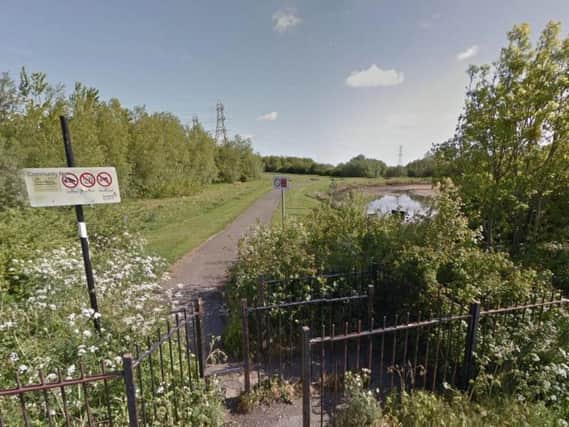 A swan was shot near the pond by Rockingham Road, Red House. Picture by Google Maps.
