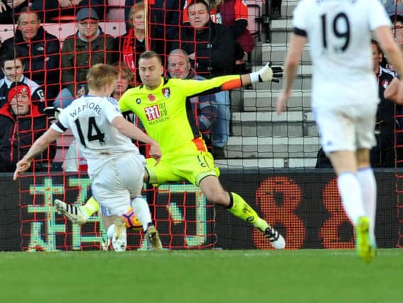 Duncan Watmore 'scores' for Sunderland at Dean Court only to be ruled offside. Picture by FRANK REID