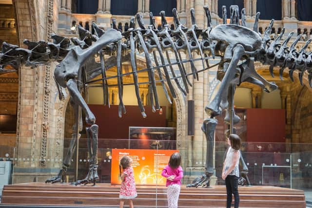 Children take a close look at Dippy in his current London home.