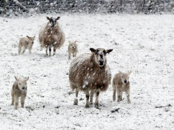A wintry scene near Hexham, Northumberland, last month. Could more snow be on the way this week?