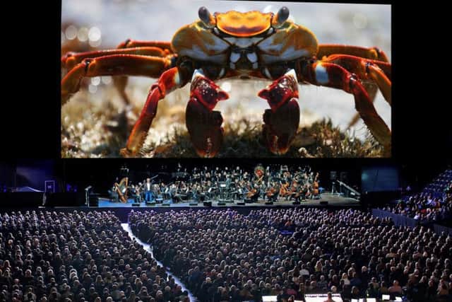 Blue Planet II Live In Concert immerses fans in a breath-taking, epic two-hour show