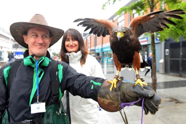 A Harris hawk has been brought in to keep seagulls away from the Sunderland Food and Drink Festival. FalconerMatt Hepburn with Executive Director of Neighbourhoods Fiona Brown.