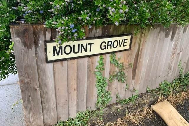Mount Grove