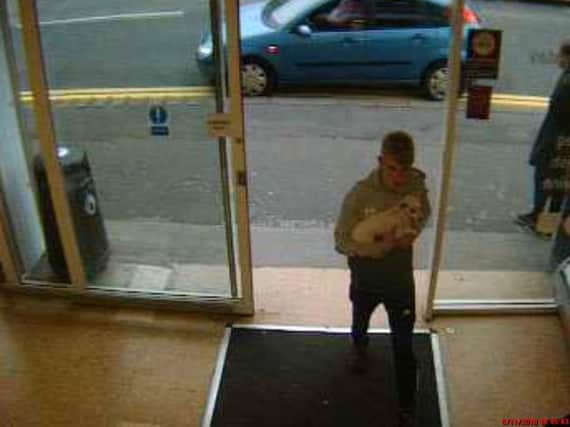 CCTV picture of a dog which is thought to have been dumped in a Durham supermarket.