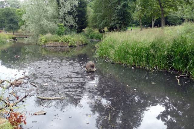 Concerns have been raised about the state of the pond in the park after issues with its pump and aerators.