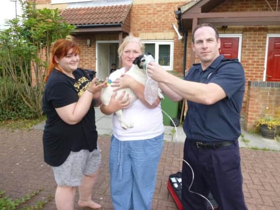 Nip the dog and Timmy the tortoise are given oxygen. Pic: Tyne and Wear Fire and Rescue Service