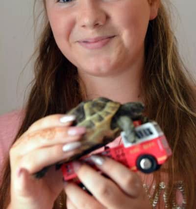 Eve Sloan, 12 with Timmy the tortoise after fire service rescue