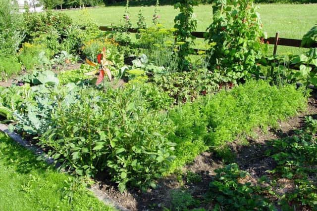 Growing your own food is good for your health.