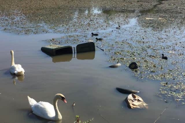 Swans swimming among flytipped waste including wheelie bins at Downhill Pond before the clean-up.