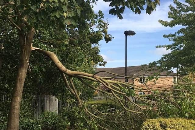 Crews were called to more than 100 incidents of fallen and damaged trees. Picture by Tyne and Wear Fire and Rescue Service