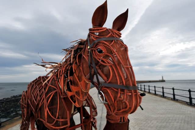 'Joey' star of the National Theatres acclaimed play War Horse will soon tour the UK pictured here in Sunderland ahead of dates at the Sunderland Empire Theatre in February 2019.