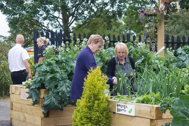 The community garden has helped transform an area of parkland which was previously damaged by vandals.