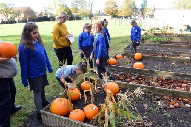 South Hylton Academy pupils receive pumpkins from the community after vandals destroyed the school display.