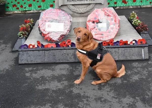 Reba at the cenotaph with the purple poppies