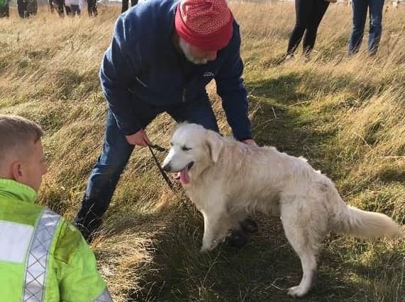 Harry the dog was reunited with his owner thanks to the work of County Durham and Darlington Fire and Rescue Service.