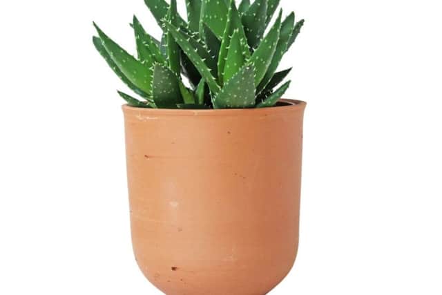 Curved Terracotta Plant Pot. Picture: Scaramanga