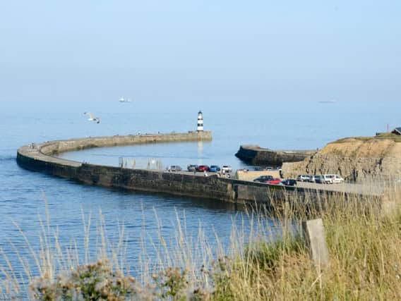 A fisherman had to be rescued after falling from the pier in Seaham.