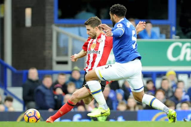 Fabio Borini in his Sunderland days.