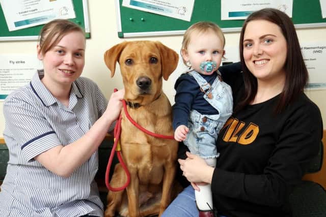 Tex, a six-month-old red fox Labrador, with owner Rachael Bell and her daughter Alice, from Silksworth, Sunderland, and Gilmoor Vets auxiliary nurse Sarah Willetts.