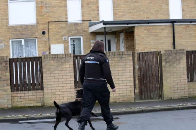Police dogs and officers were also called to help with the investigation.