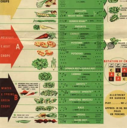 Chart inside a Ministry of Agriculture leaflet with advice on how to cultivate vegetables all year round. Picture by RHS