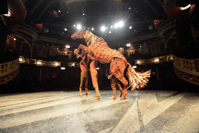 War Horse Joey on stage at Sunderland Empire.