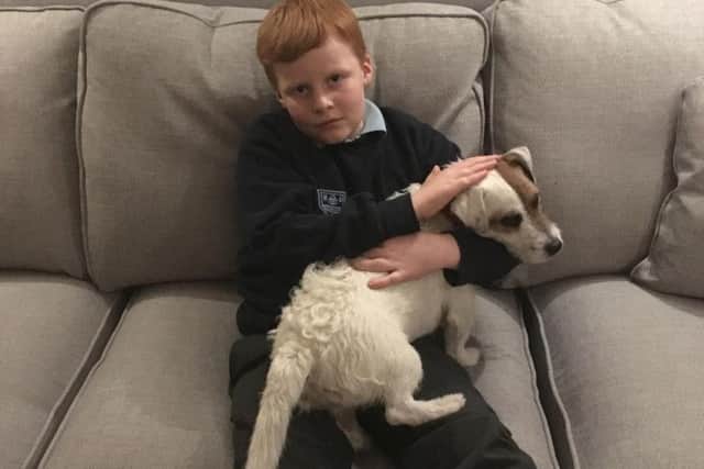 Blue Room treatment helped Harry Mainwaring, 11, make such a good recovery from his fear of dogs that his family was able to get a terrier, Wilfy. Pic: Third Eye NeuroTech/Newcastle University/PA Wire.