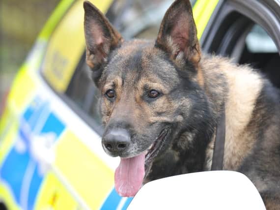 Police dog Kaizer has sadly died.