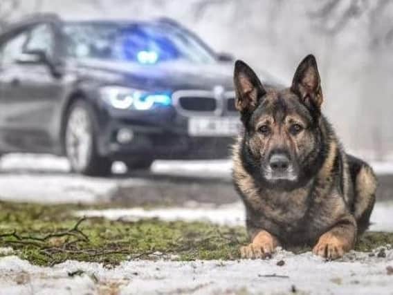 Dozens of tributes have been paid to the brave dog. Picture: Durham Police K9.