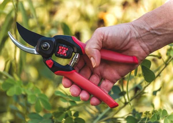 FlexDial Branch and Stem Pruner. Picture by Corona