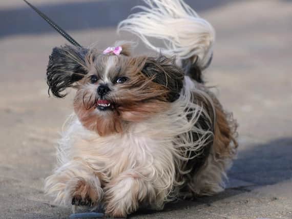 It's set to be another windy one today