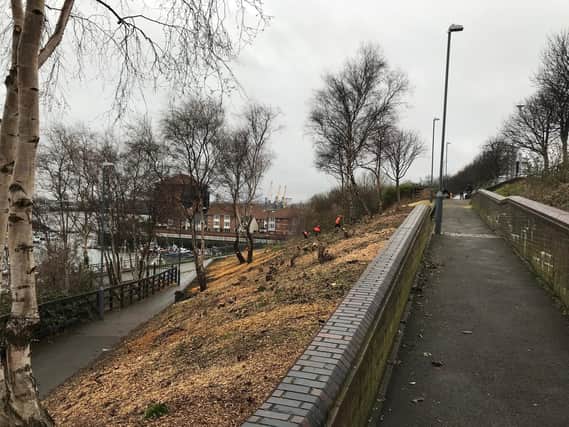 How a section of Sunderland's riverside looks following improvement works.