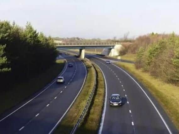 The A19