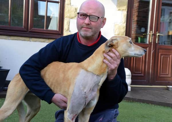 Stephen Turner with his lurcher Red who was injured on a post at Castletown Dene.