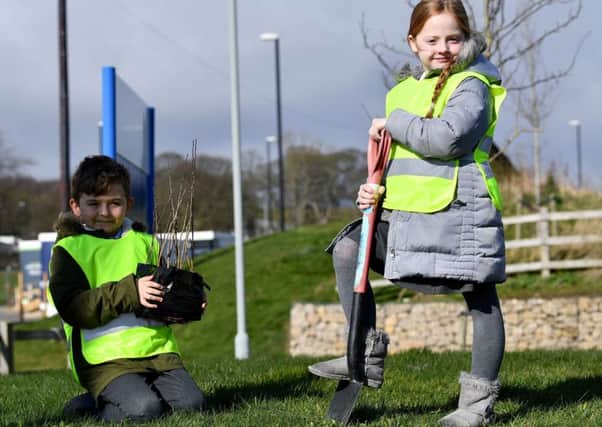 Lewis Wooton and Lola Hughes from St Patrick's School plant their trees in the grounds of St Benedict's Hospice in Ryhope.