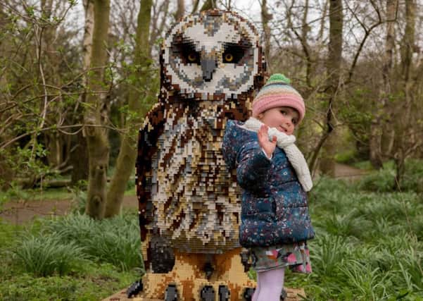 A youngster with the Lego owl at WWT Washington. Picture by Harley Todd / WWT