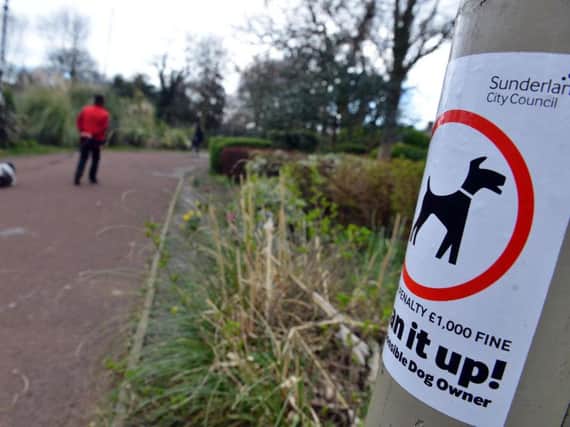 One dog fouling fine has been handed out in a year in Sunderland.