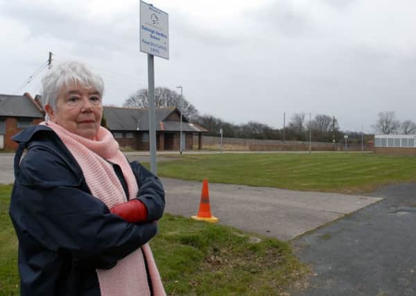Green space campaigner Lilan Milne at the site
