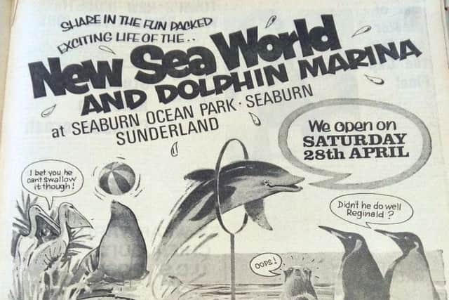 The advert for Sea World.