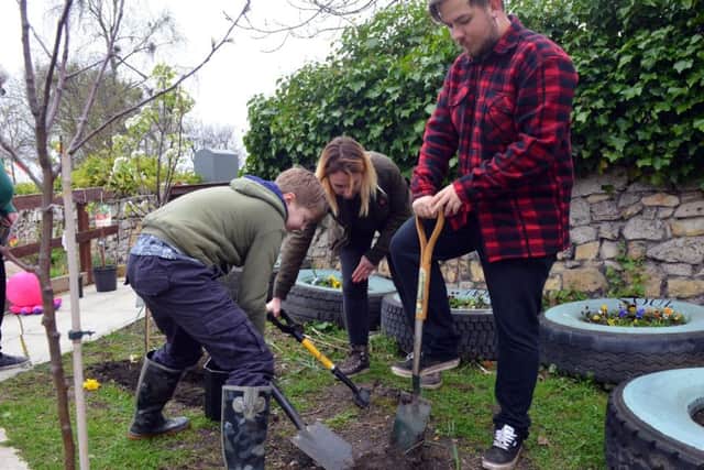 Just Let Your Soul Grow community allotment group receive new trees