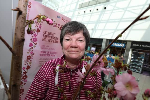 Christine Parker from the Friends of Princess Anne Park with the cherry trees donated by the Galleries Shopping Centre.