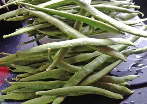 A large pile of pickings of runner beans.