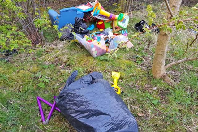 The rubbish was dumped in Sunderland's Children's Forest