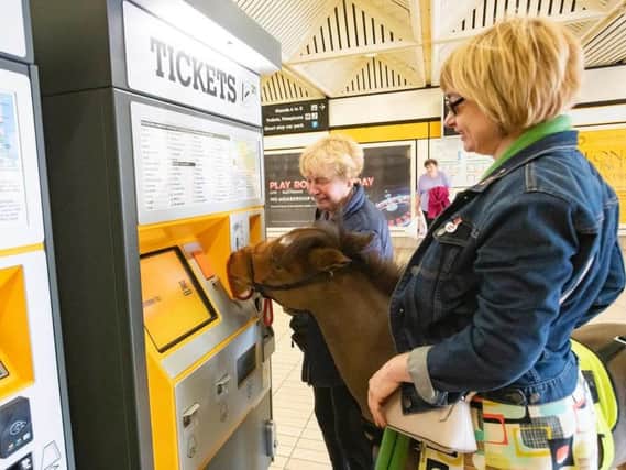 Digby buys a ticket for his journey.